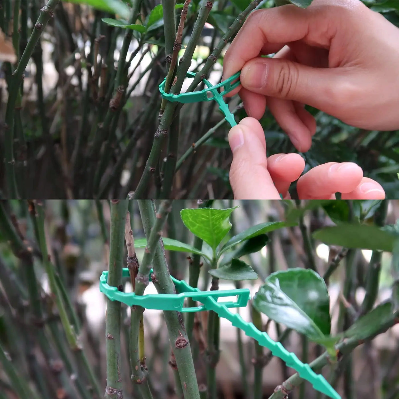 Reusable Plant Support Cable Ties