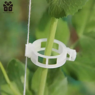 Plant Support Plastic Clips