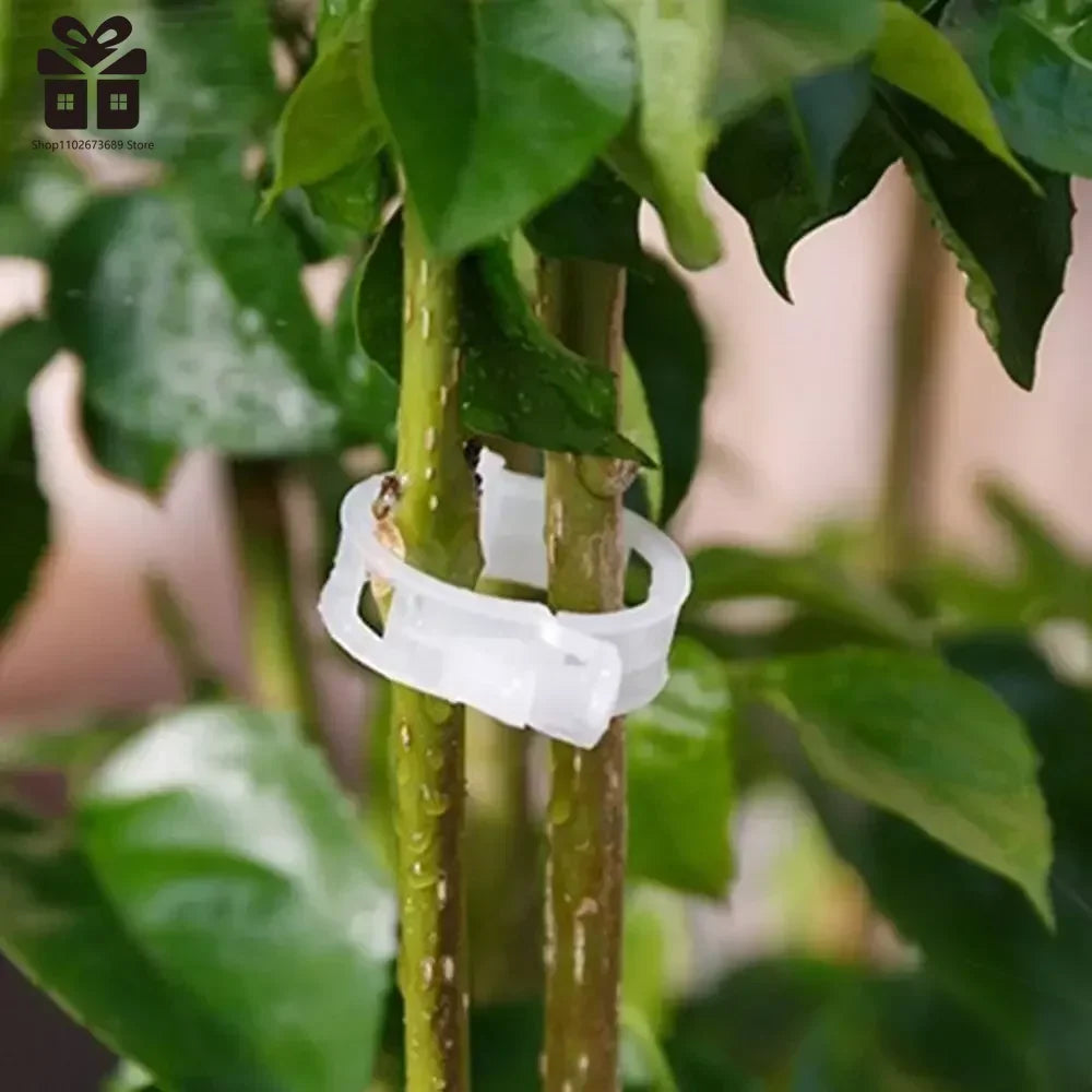 Plant Support Plastic Clips