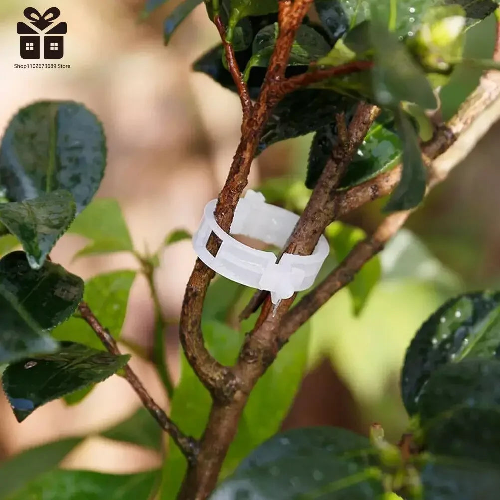 Plant Support Plastic Clips